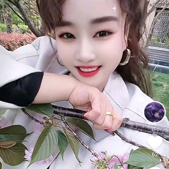燕子，小迷糊