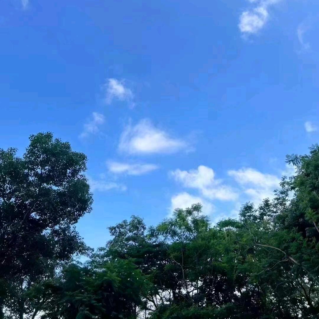 坑蜢