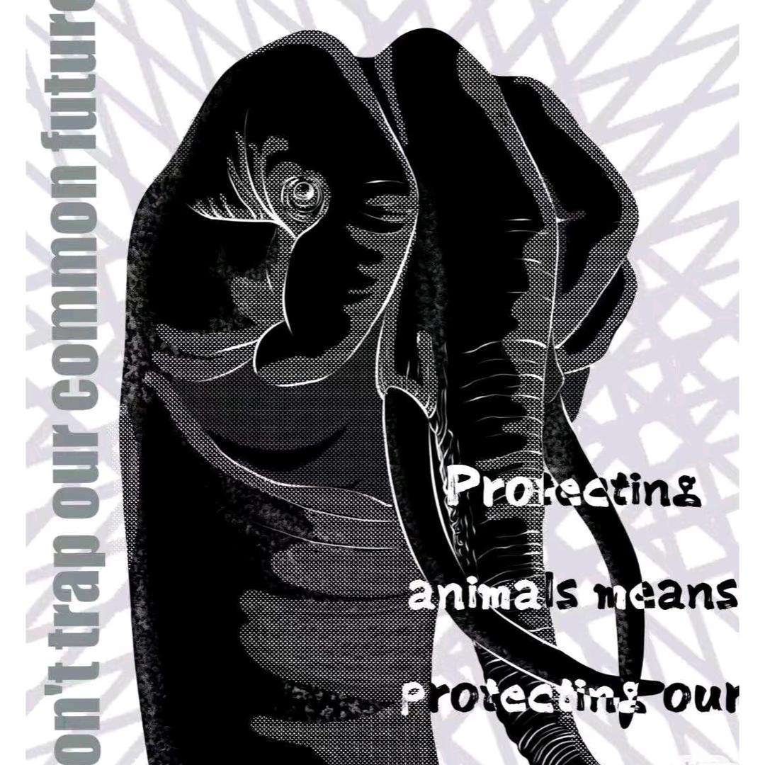 剋张车票（户外爬山版）