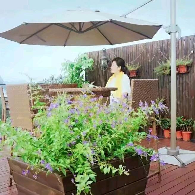 嫣然一笑🌻