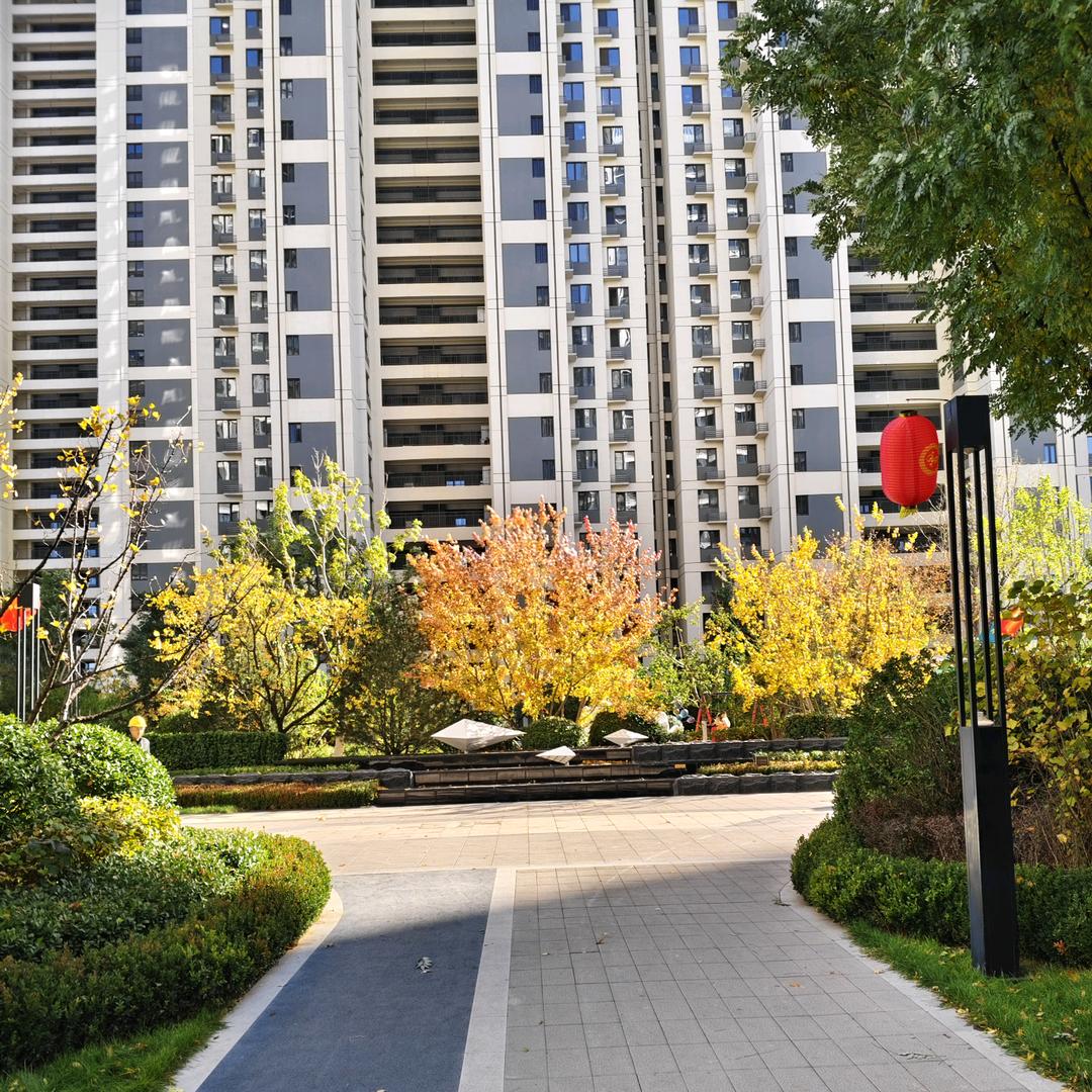 🙏天天向上✌️