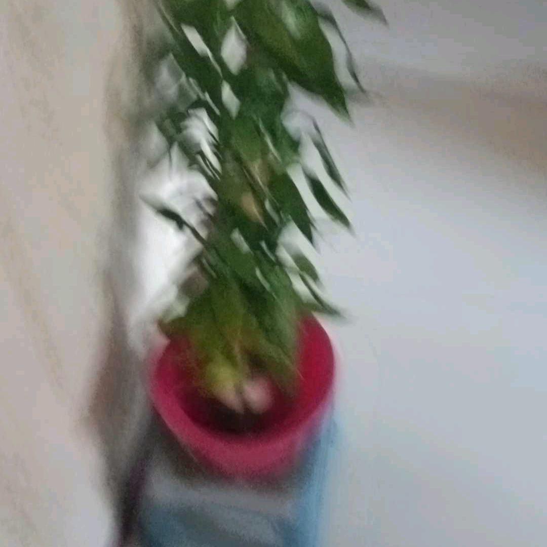 小存
