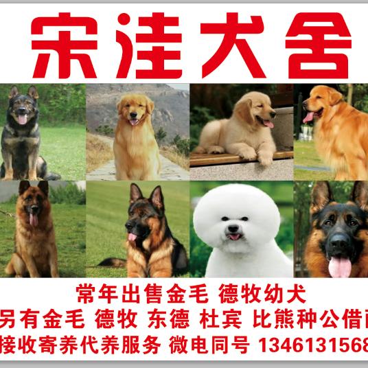 养狗人士