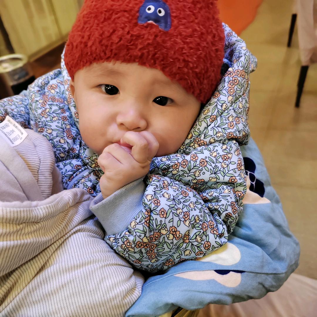 杨四郎aaa