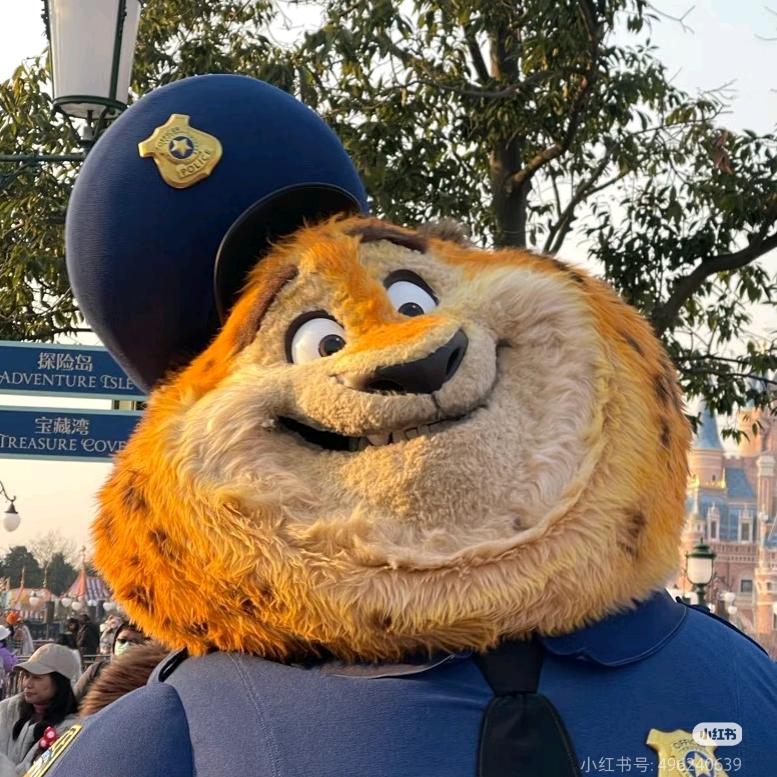 白天不懂夜的黑