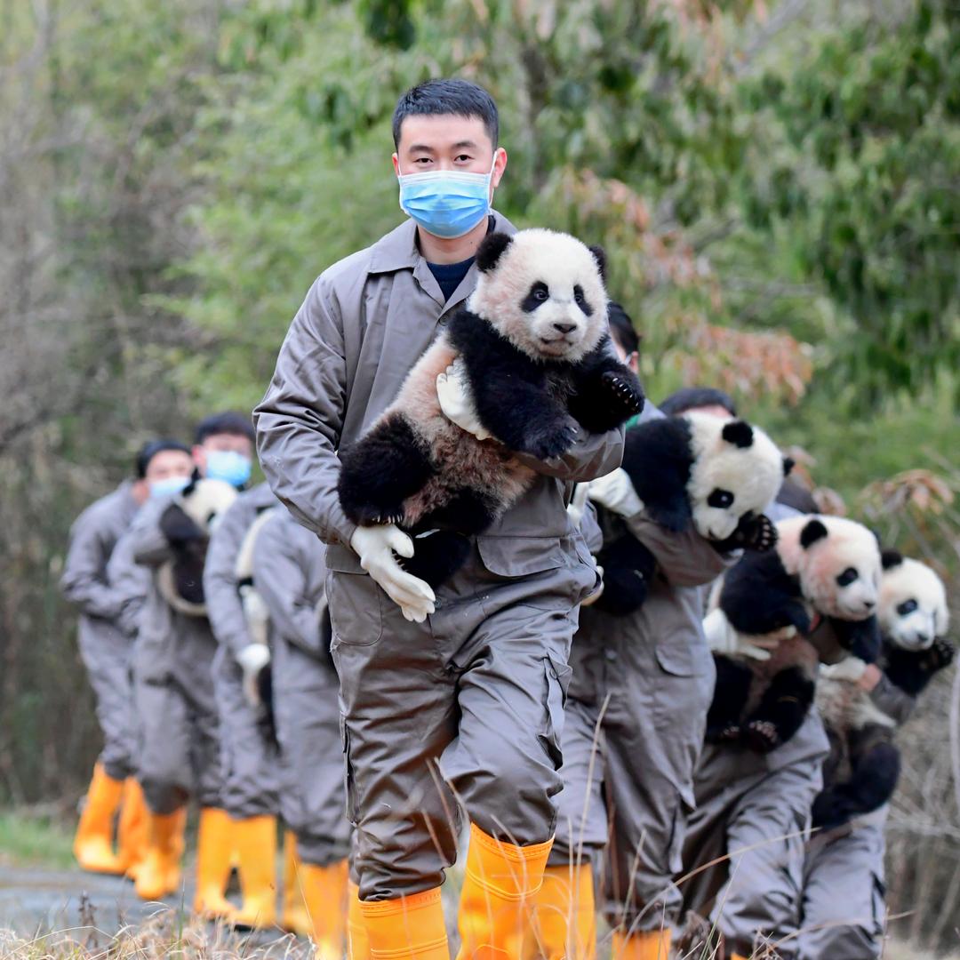 怀庭