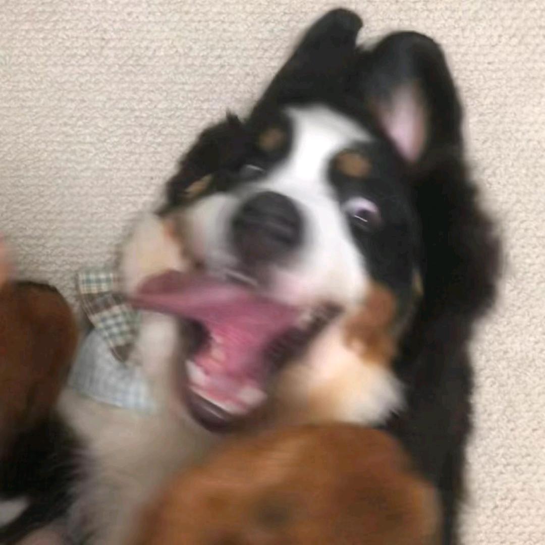 万恶的资本家往矿泉水里面掺水了•͈ᴗ⁃͈