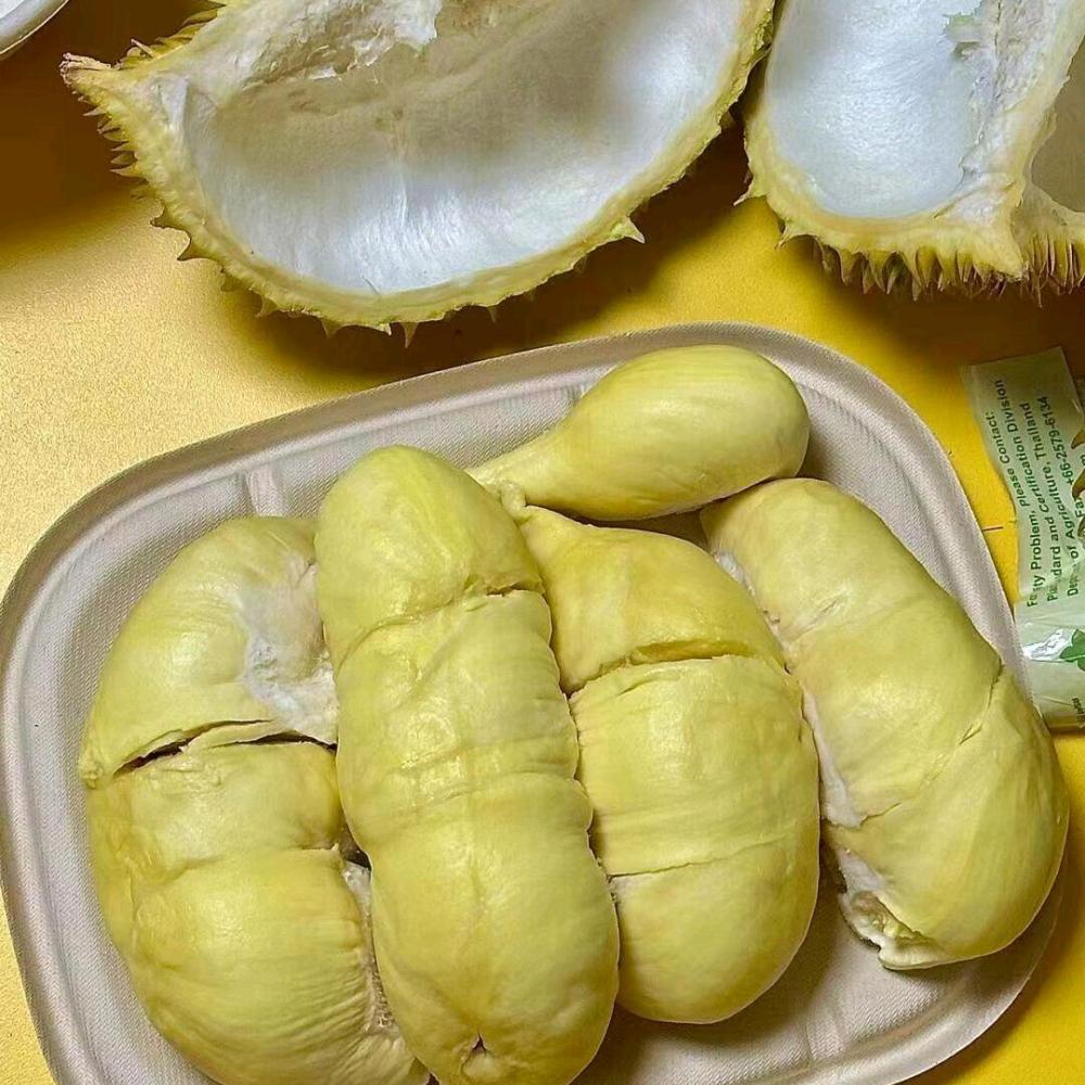 水果玩家