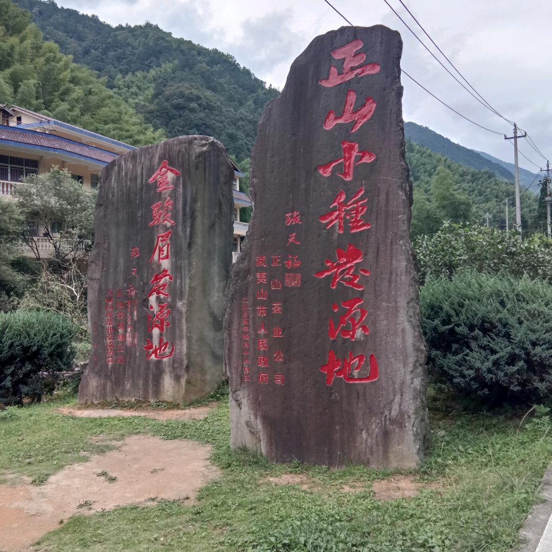 走进（桐木）（正武茶厂）