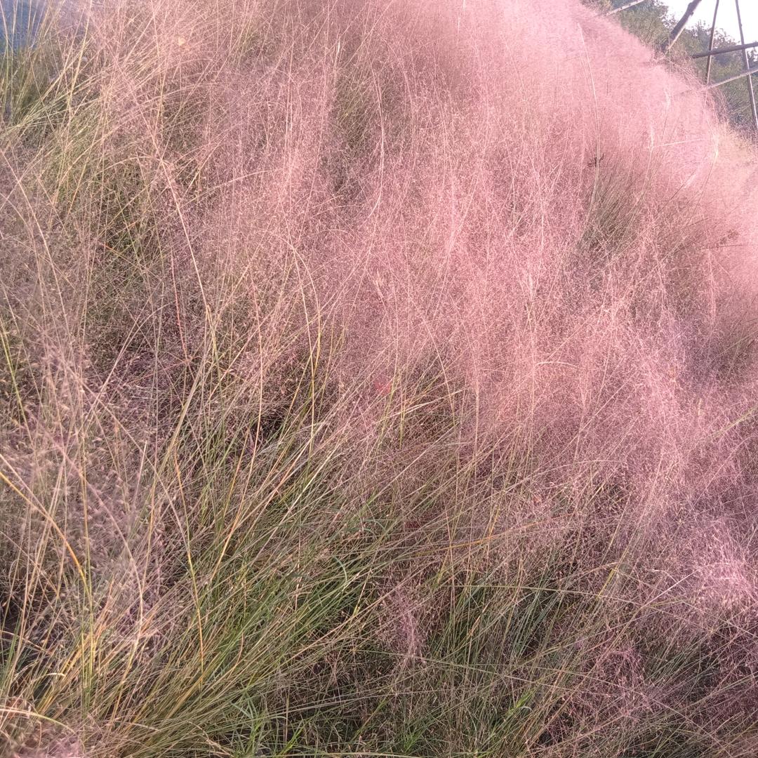 阳光明媚的一天