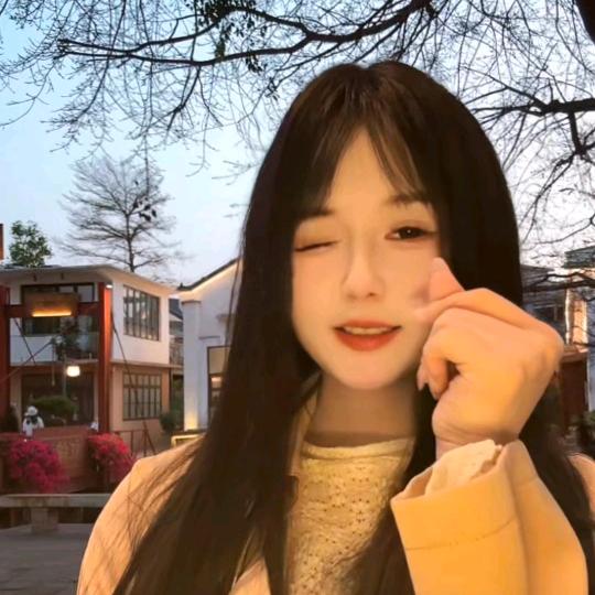 熊猫熊猫熊猫🐼