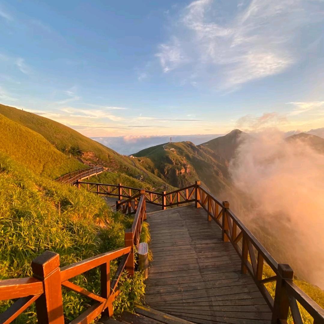 法拉利的钱多多