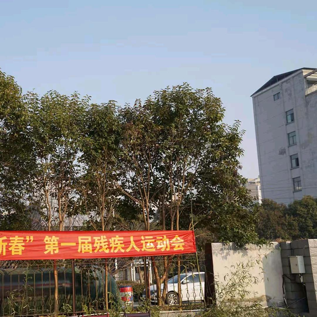 （没钱没爱不谈情）王芝理（右肢体残疾）