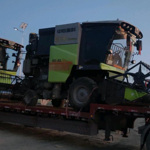 陕割共富团队(小付)