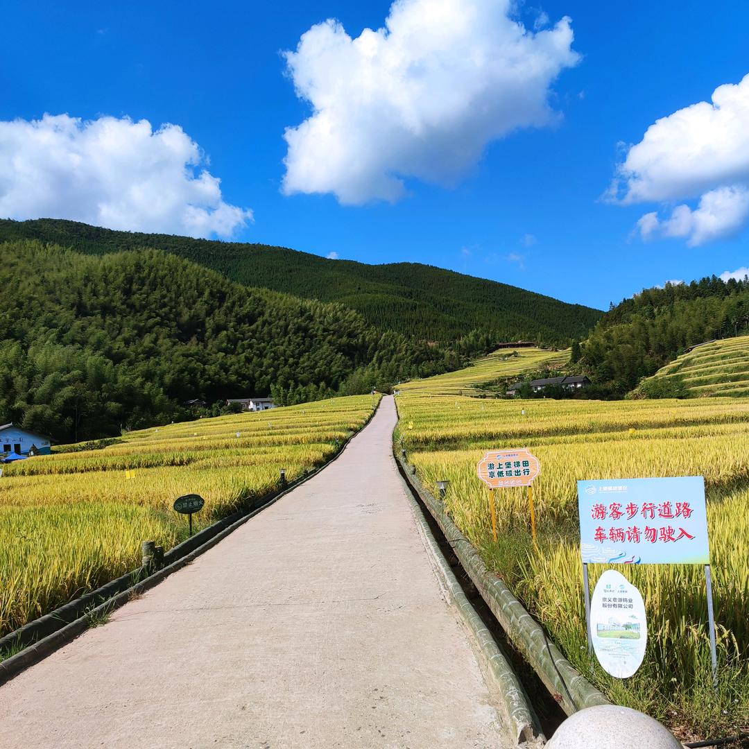 @馮先森