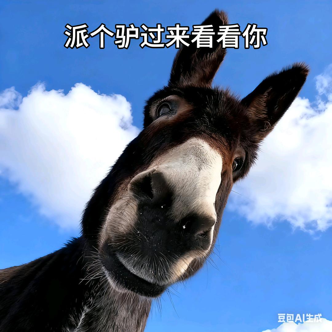 王特肉（自救ing）