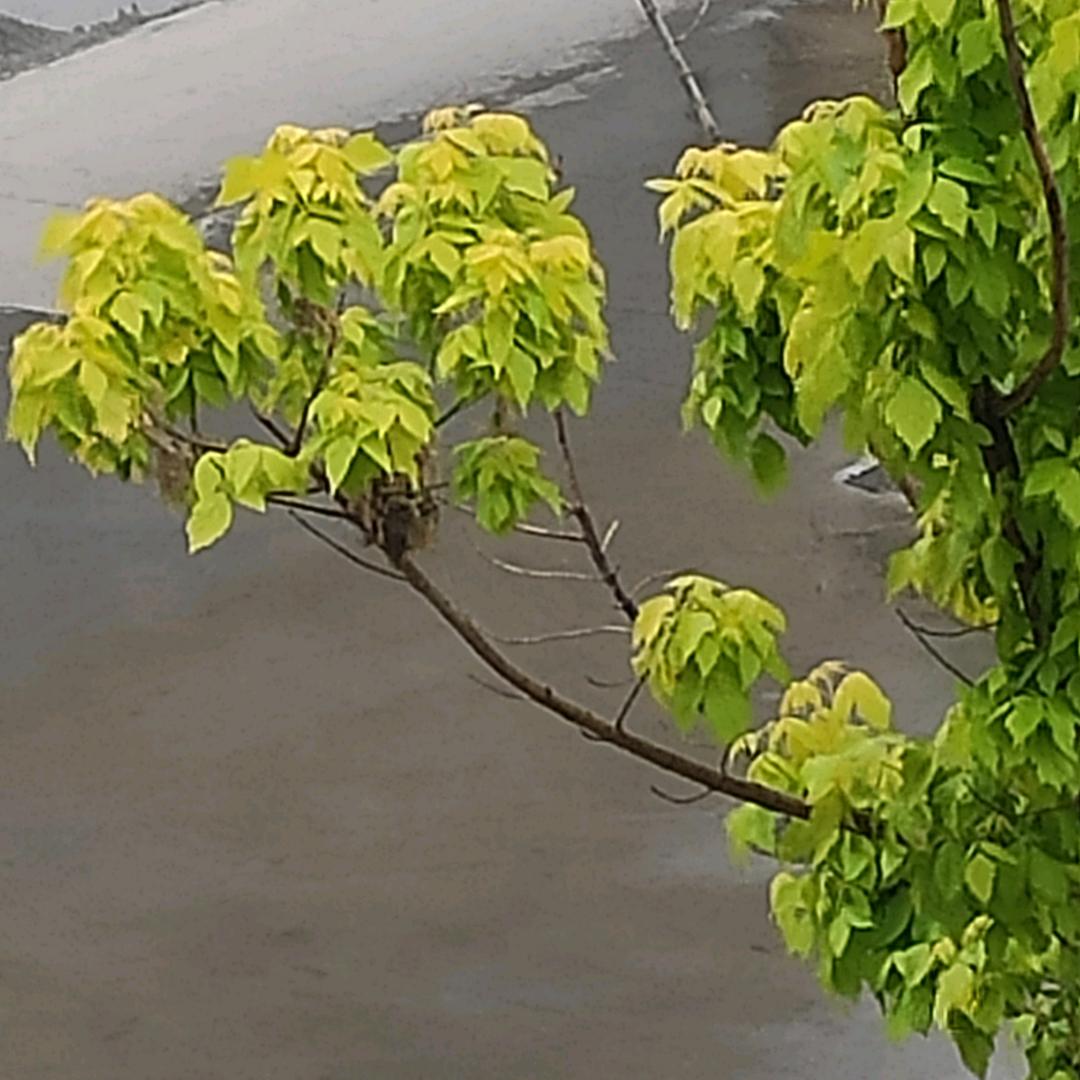 风雨同舟