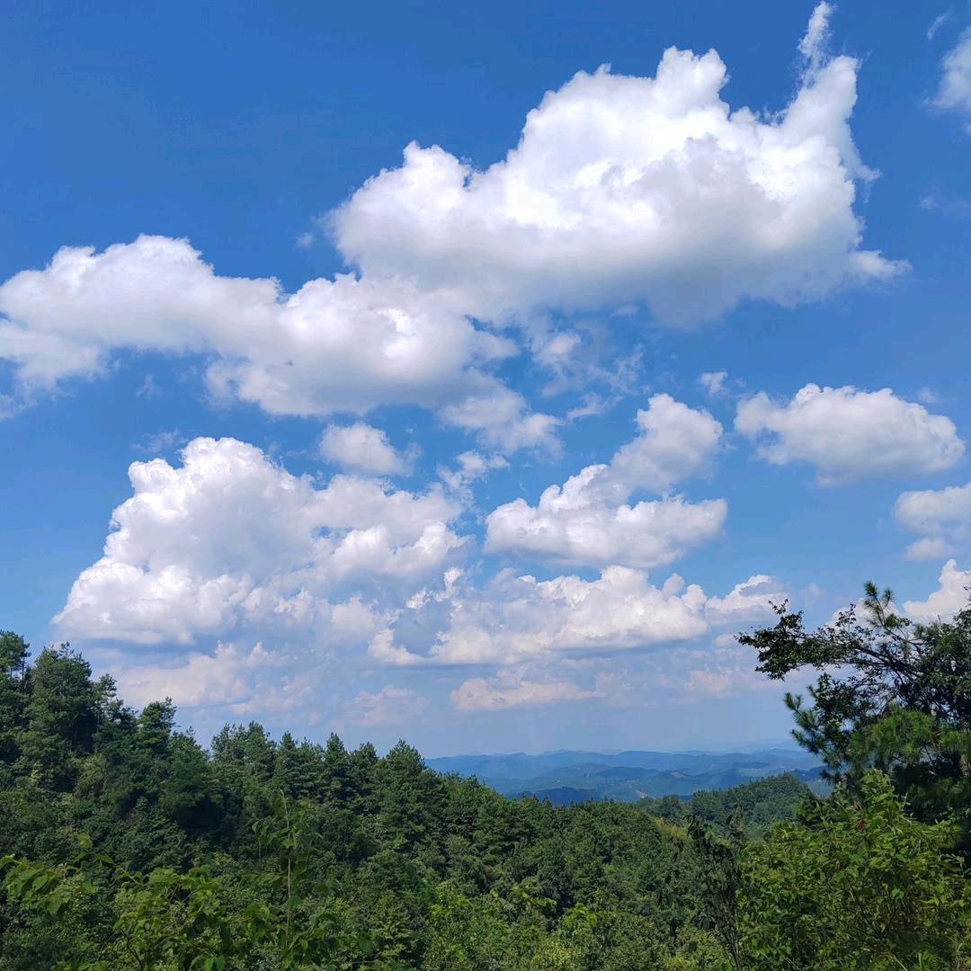 渔都欢（谷麦钓手）