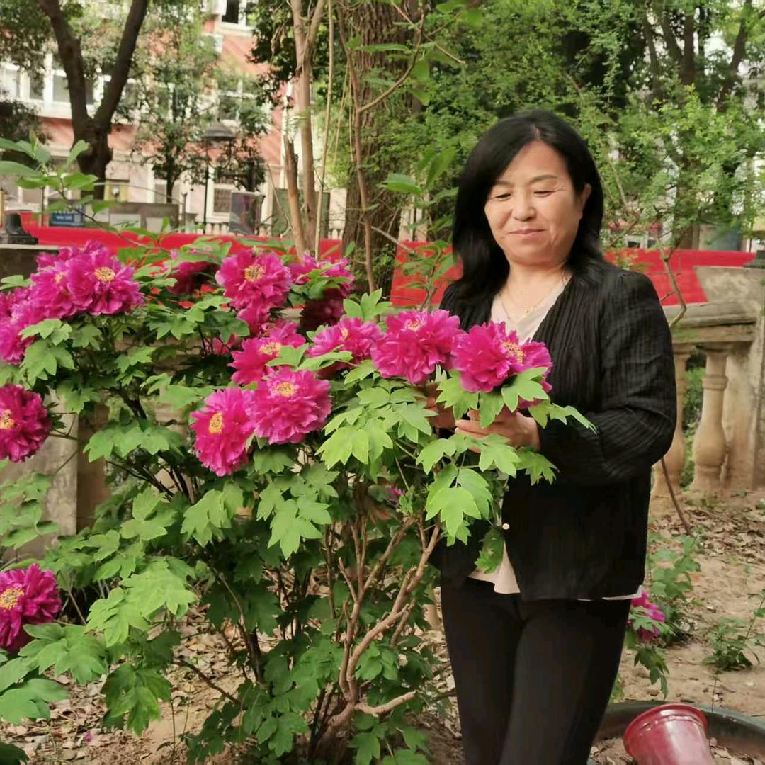 赵雅琳