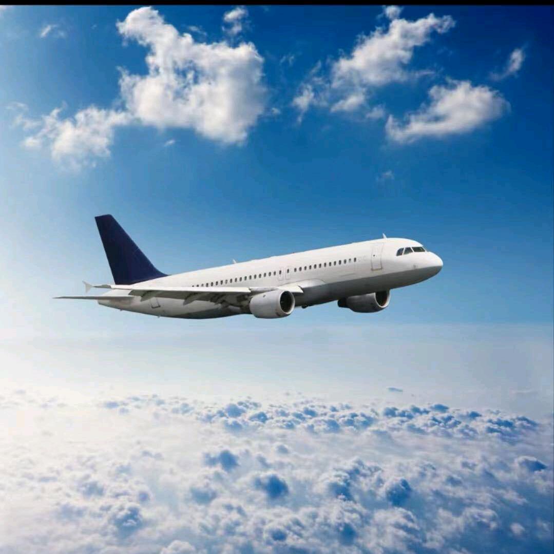 茫茫人海，本人专业搭建果园防虫网，水泥杆