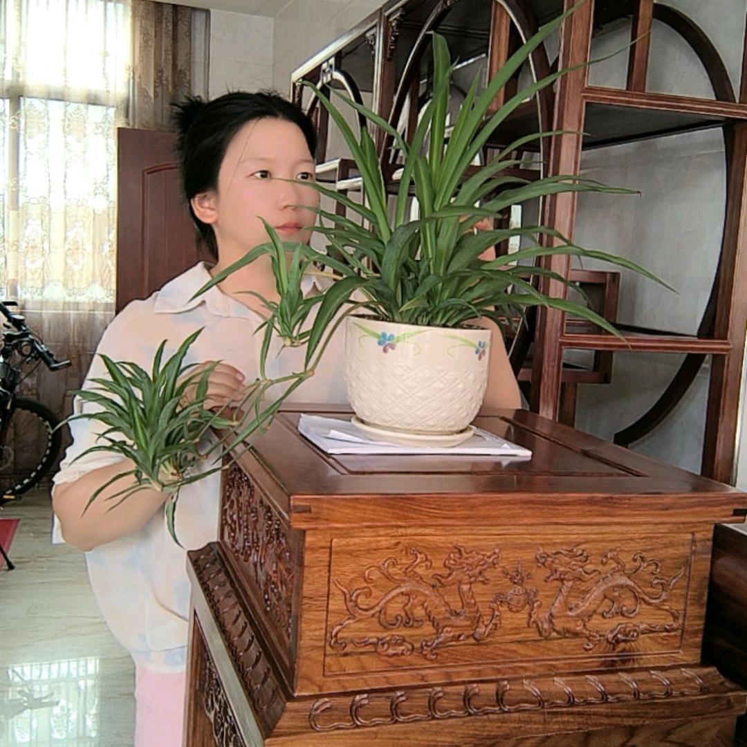 小小🐴儿（盛宝林红木家具）