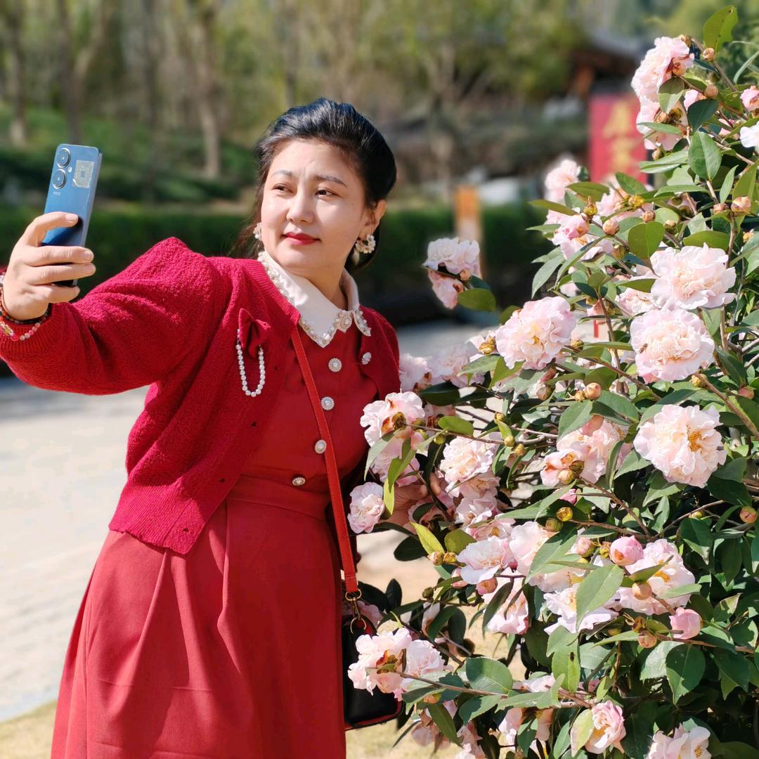 鸿雁🌸🌺🐑🐑79🐑🐑🌸🌺