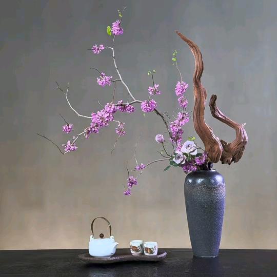 辉黄腾达优选好物