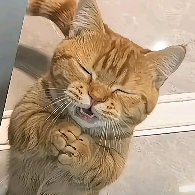 最喜欢红色