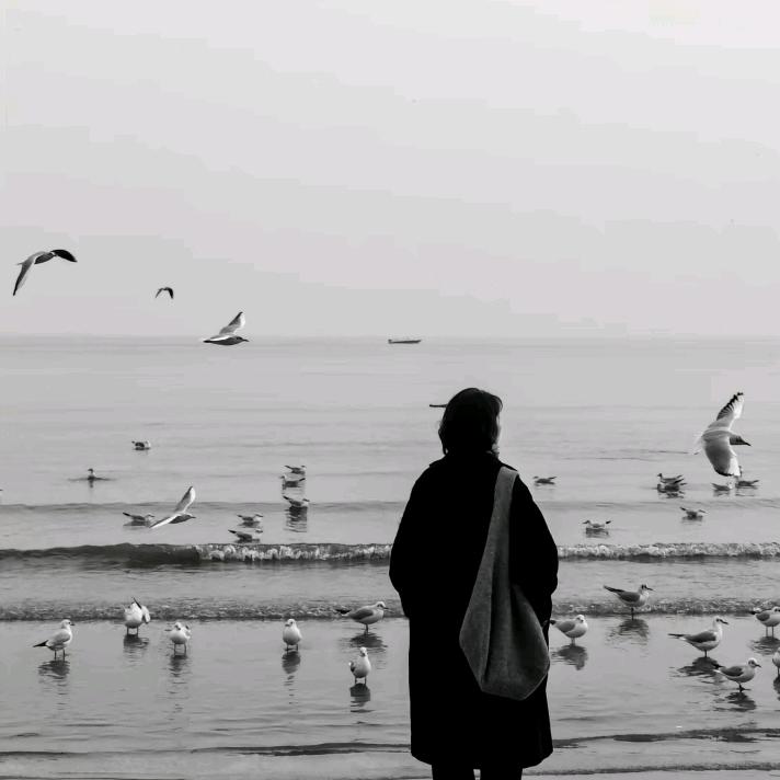 乌托邦的夜