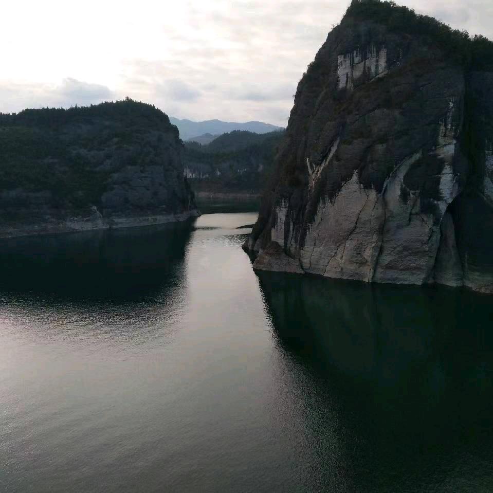 专业钢筋工