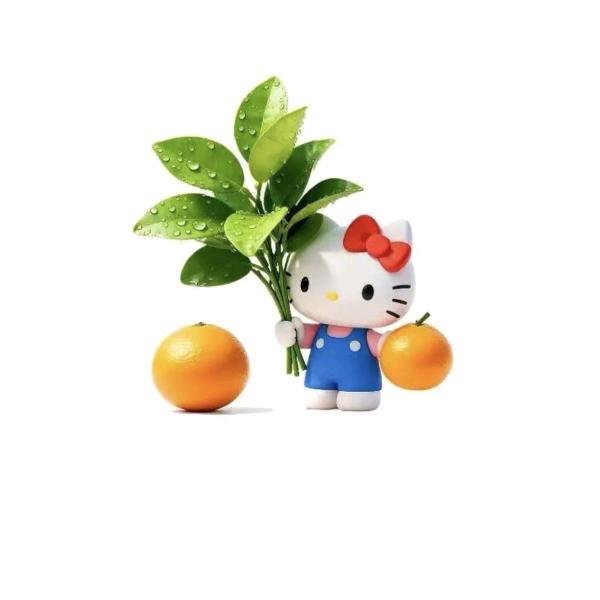 随风走