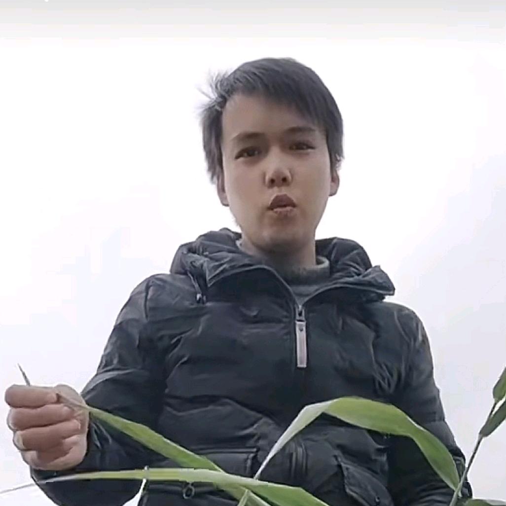 执着这份情