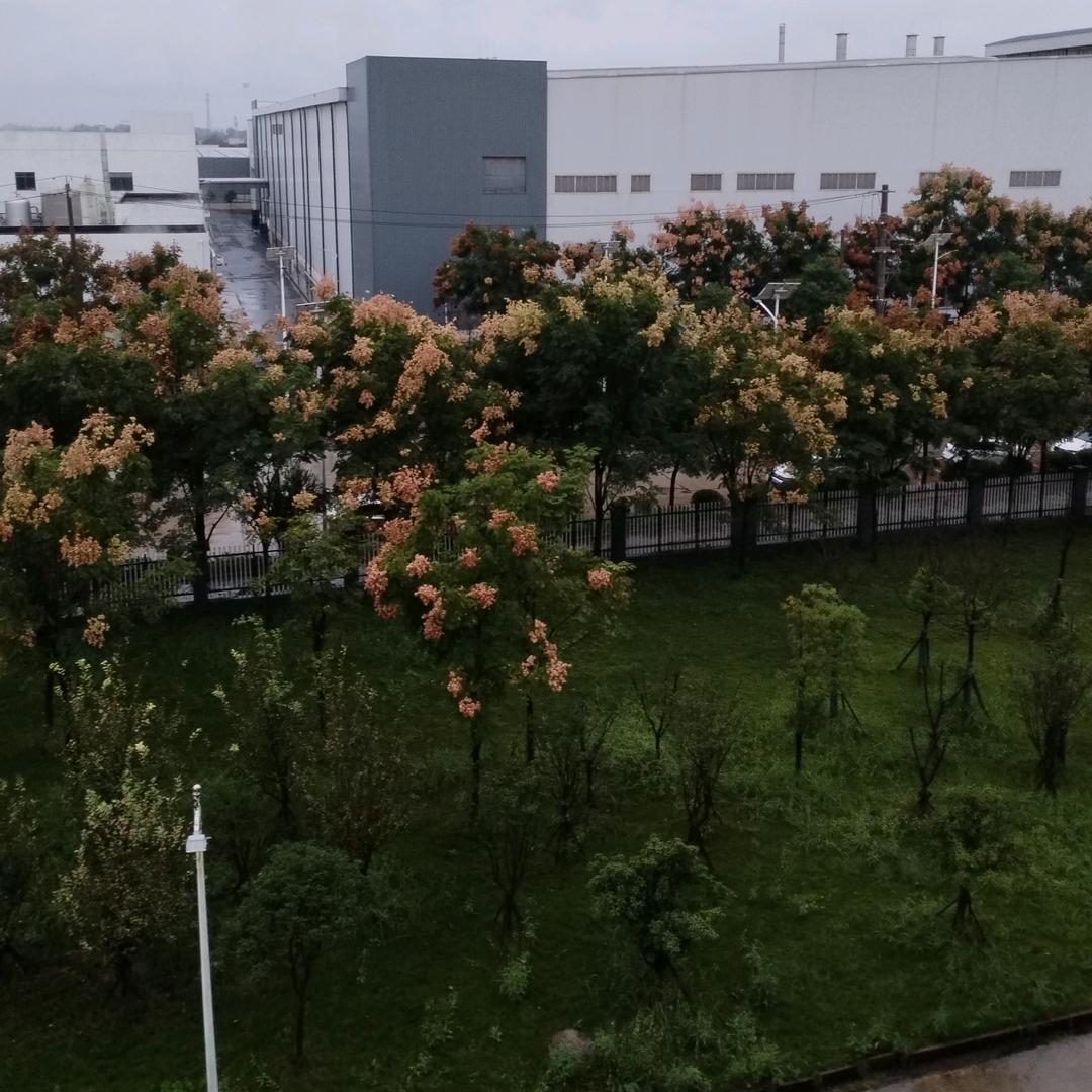 @缦纱婚礼会馆一雪莉
