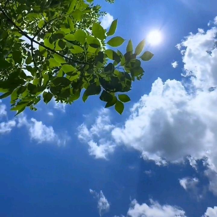 家乡菜