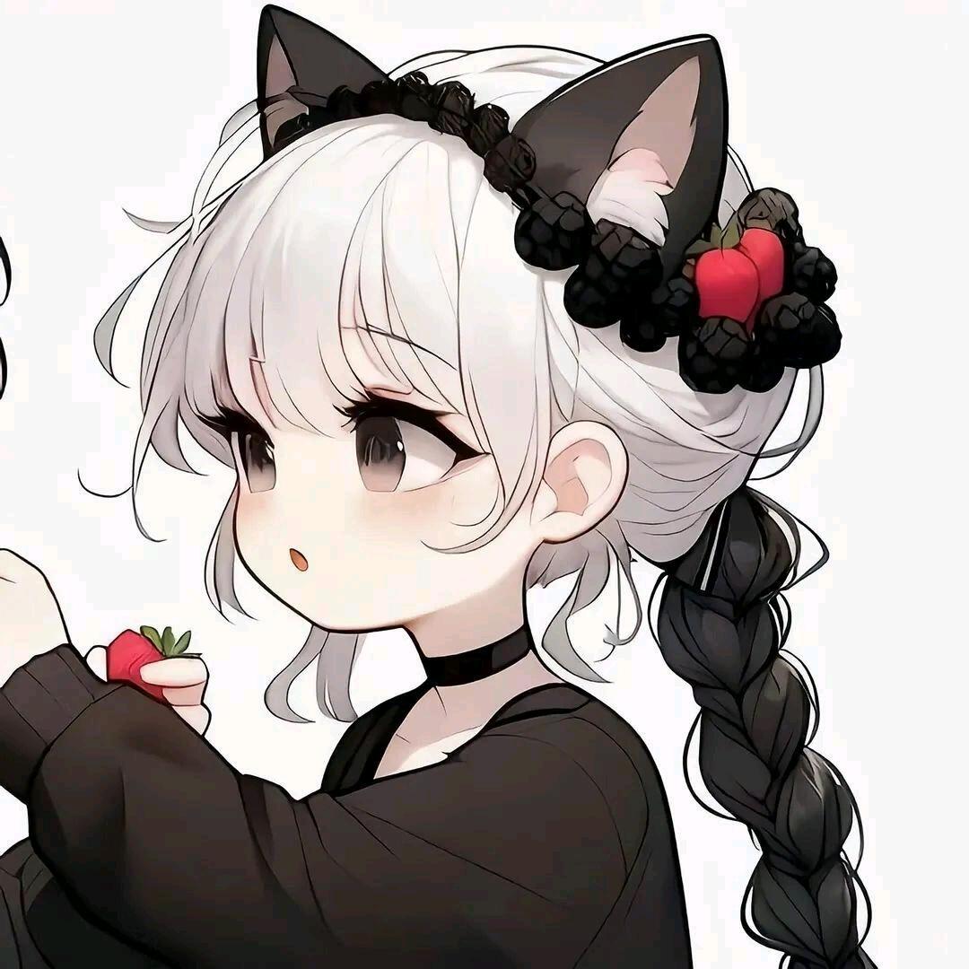 佳崽（招三角洲护航）