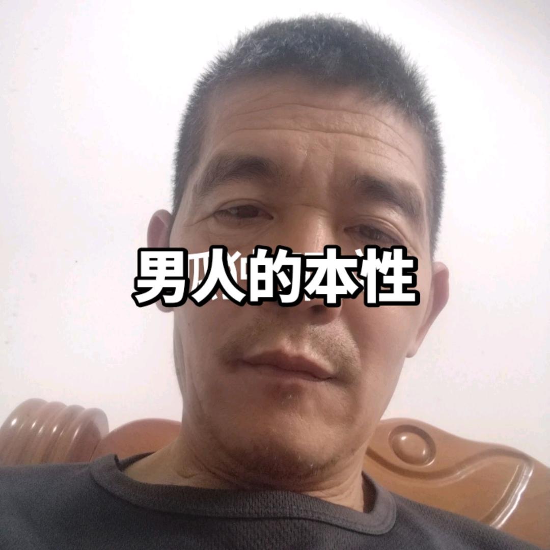 山里的狼