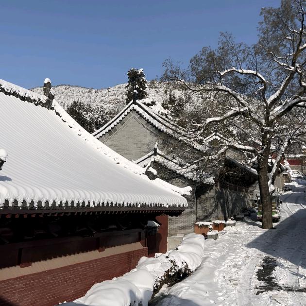 想念一个很美好的人