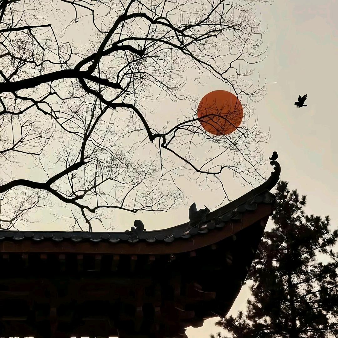 王老师说健康
