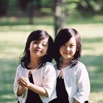 叶子柳