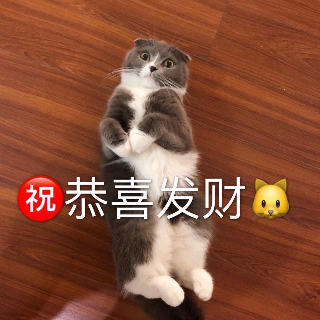 招财猫星期一