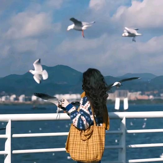 听雨眠眠