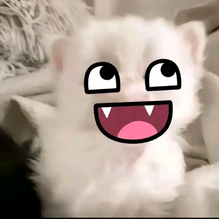 .。头像