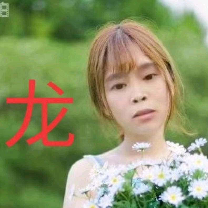 龙花🌹