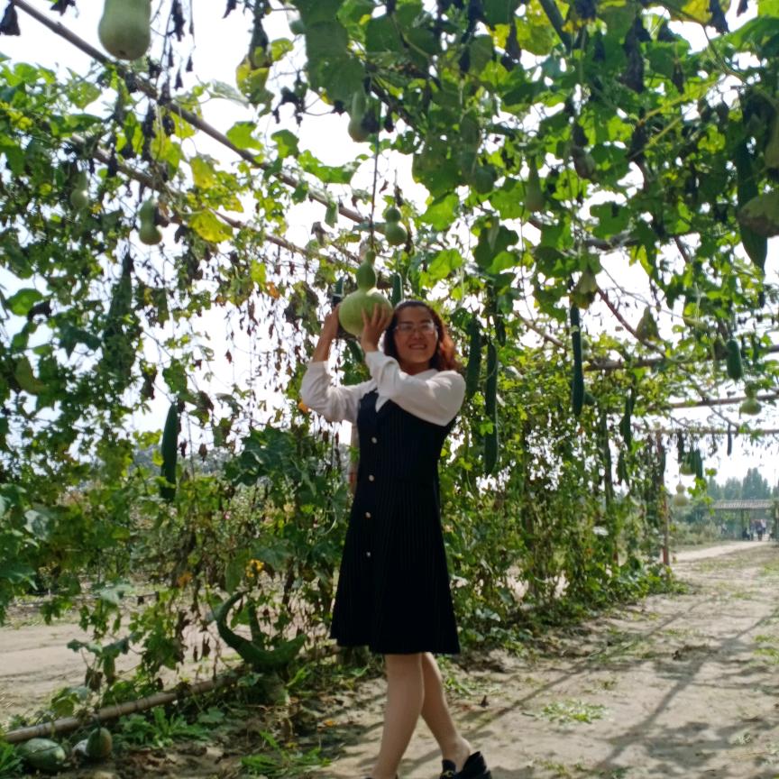 马老师家庭教育服务部（娃之家托管）