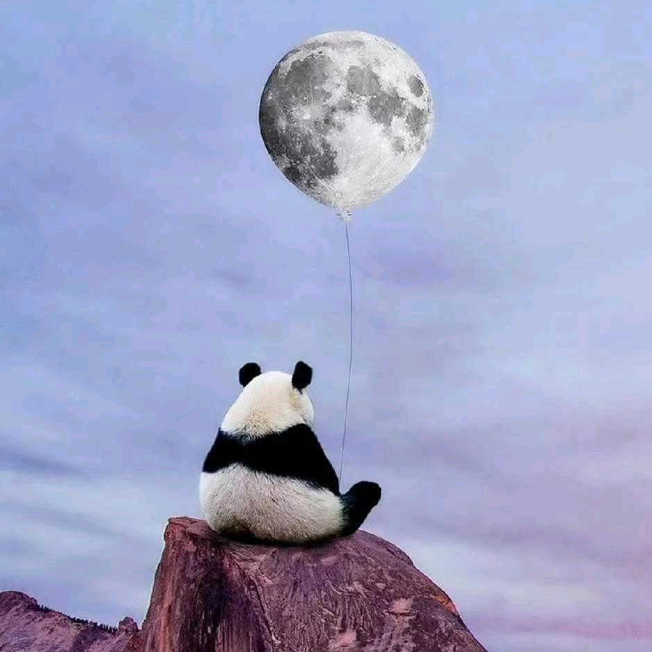 一ꦿꦼ叶᭄知꧔ꦿ秋