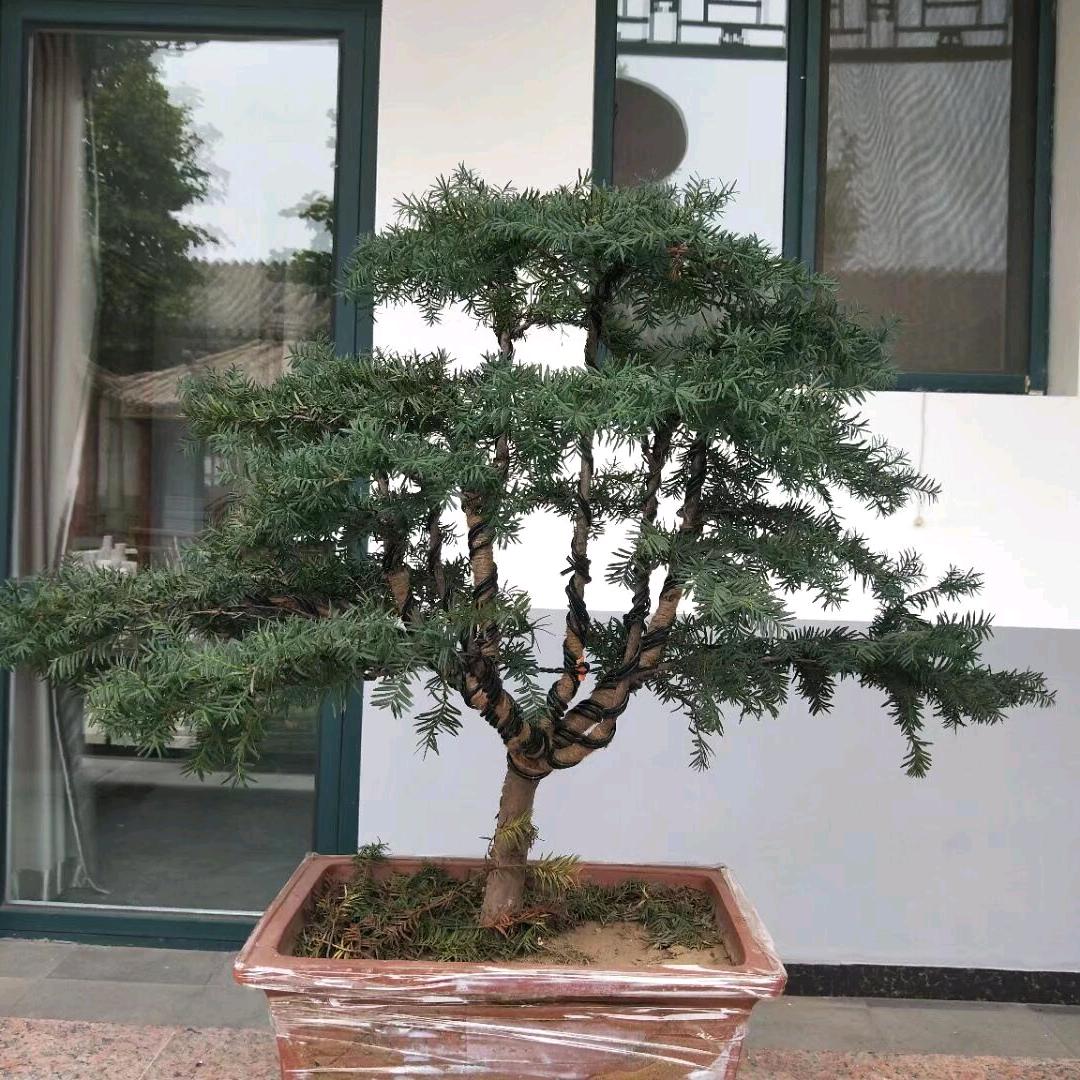明 天 ^_^