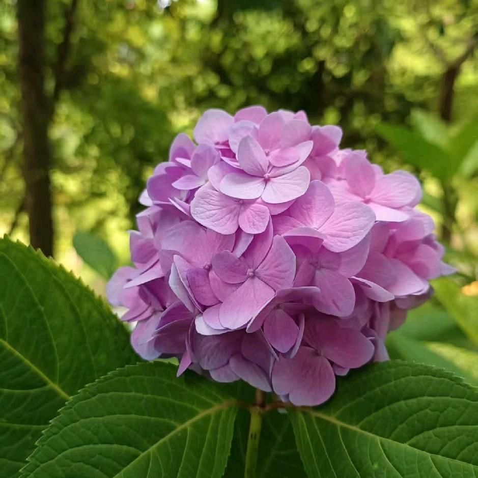 ꧔ꦿ᭄余生💞有你᭄࿐