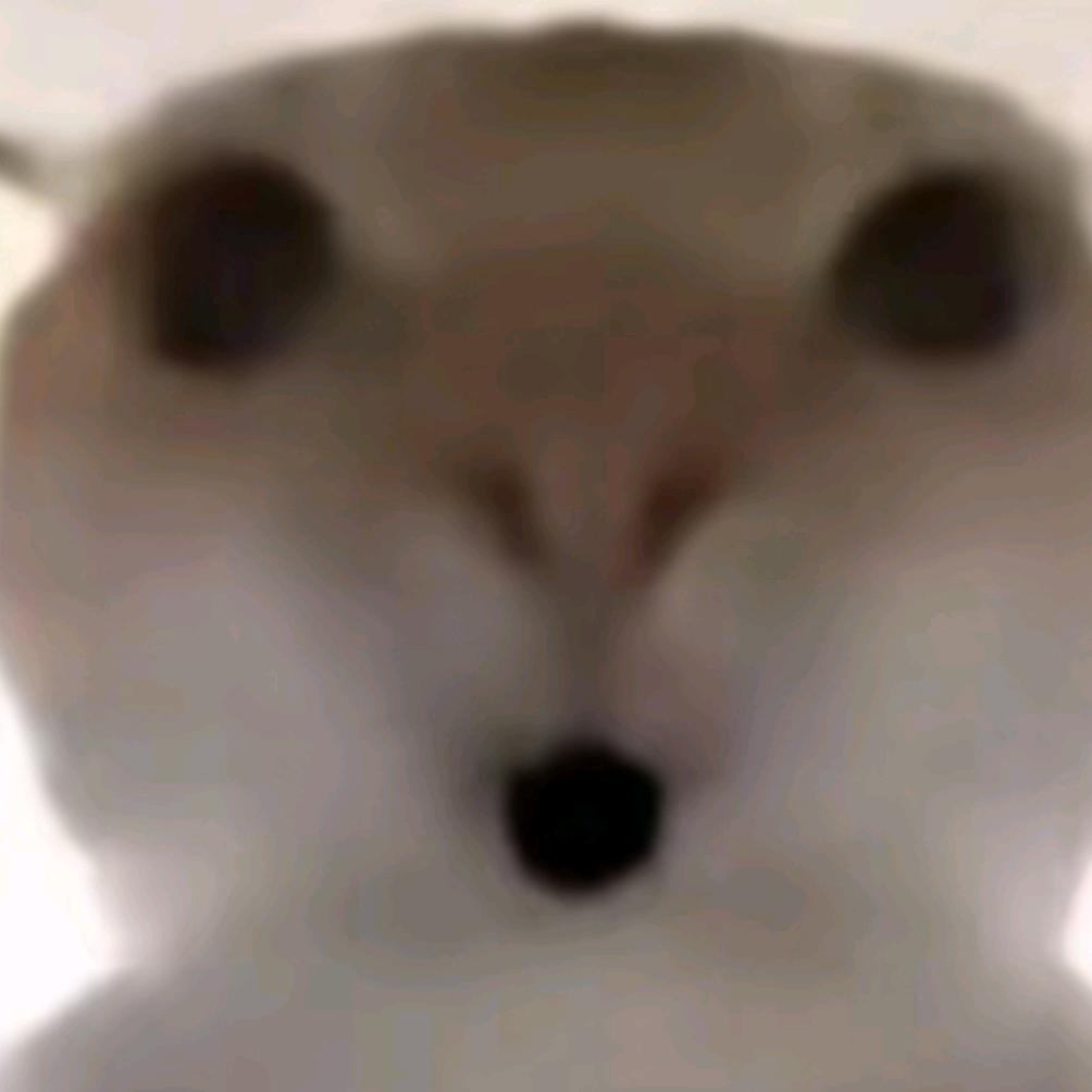 雷欧桑