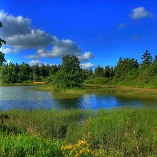 梁程浩澈灰酒店优品小铺