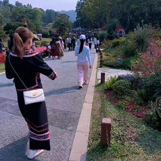 林心